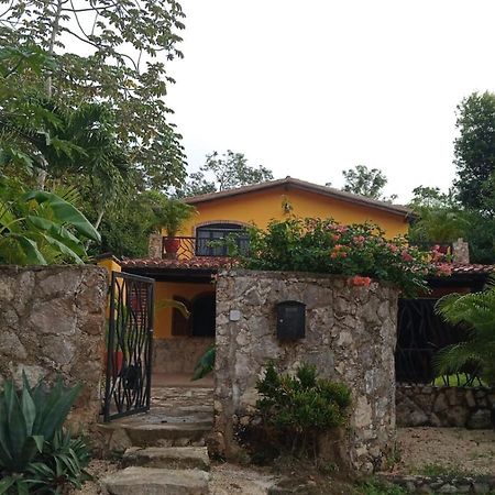 Casa Mango Bed & Breakfast Tulum Dış mekan fotoğraf