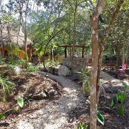 Casa Mango Bed & Breakfast Tulum Dış mekan fotoğraf