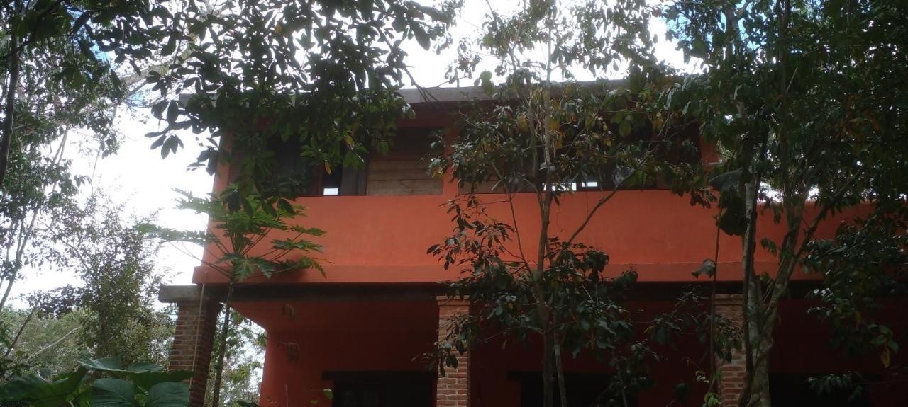 Casa Mango Bed & Breakfast Tulum Dış mekan fotoğraf