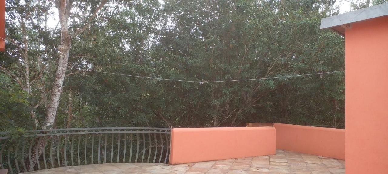 Casa Mango Bed & Breakfast Tulum Dış mekan fotoğraf