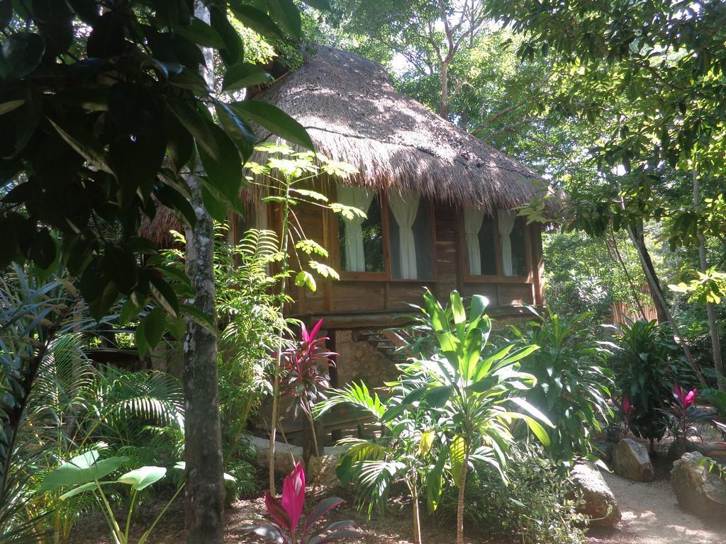 Casa Mango Bed & Breakfast Tulum Oda fotoğraf