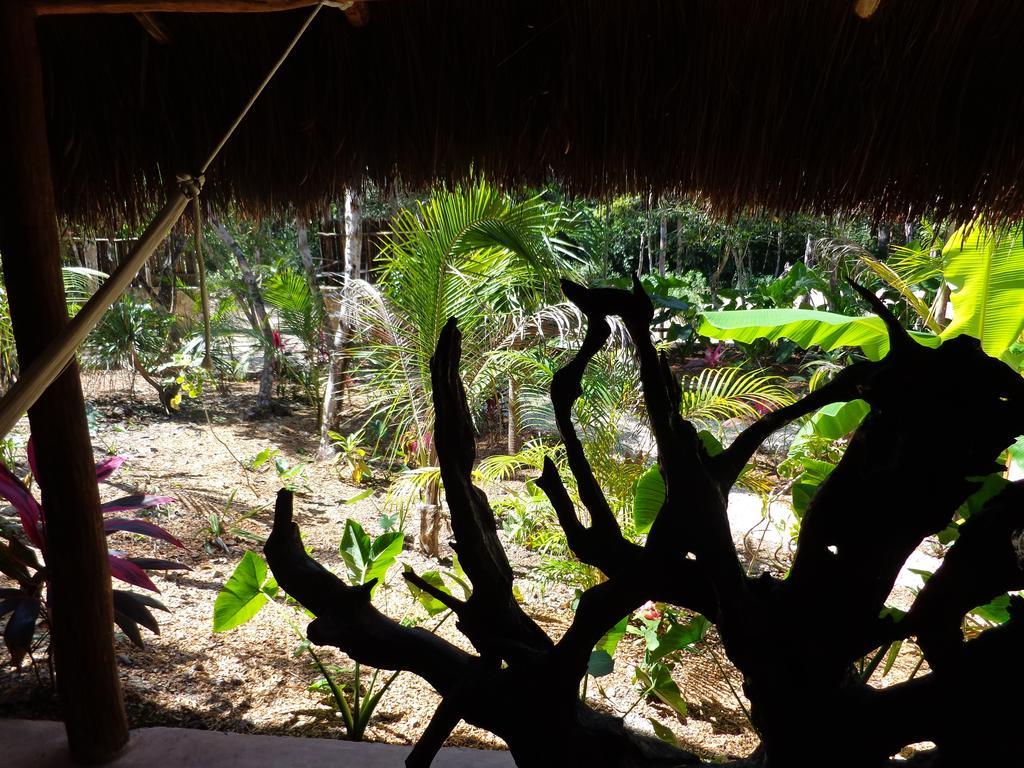 Casa Mango Bed & Breakfast Tulum Dış mekan fotoğraf