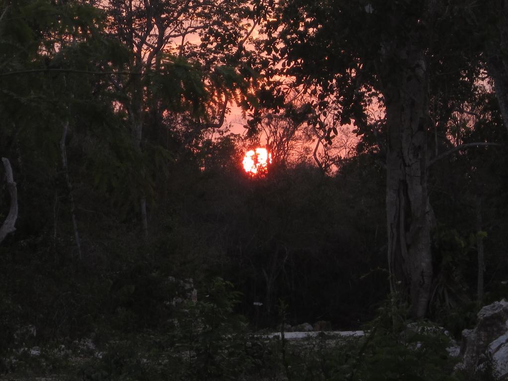Casa Mango Bed & Breakfast Tulum Dış mekan fotoğraf