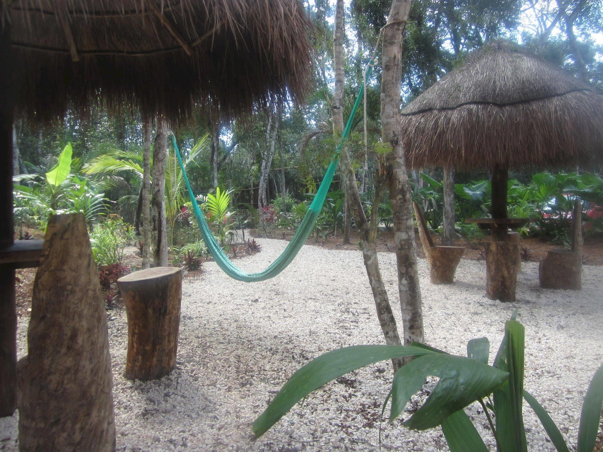 Casa Mango Bed & Breakfast Tulum Dış mekan fotoğraf
