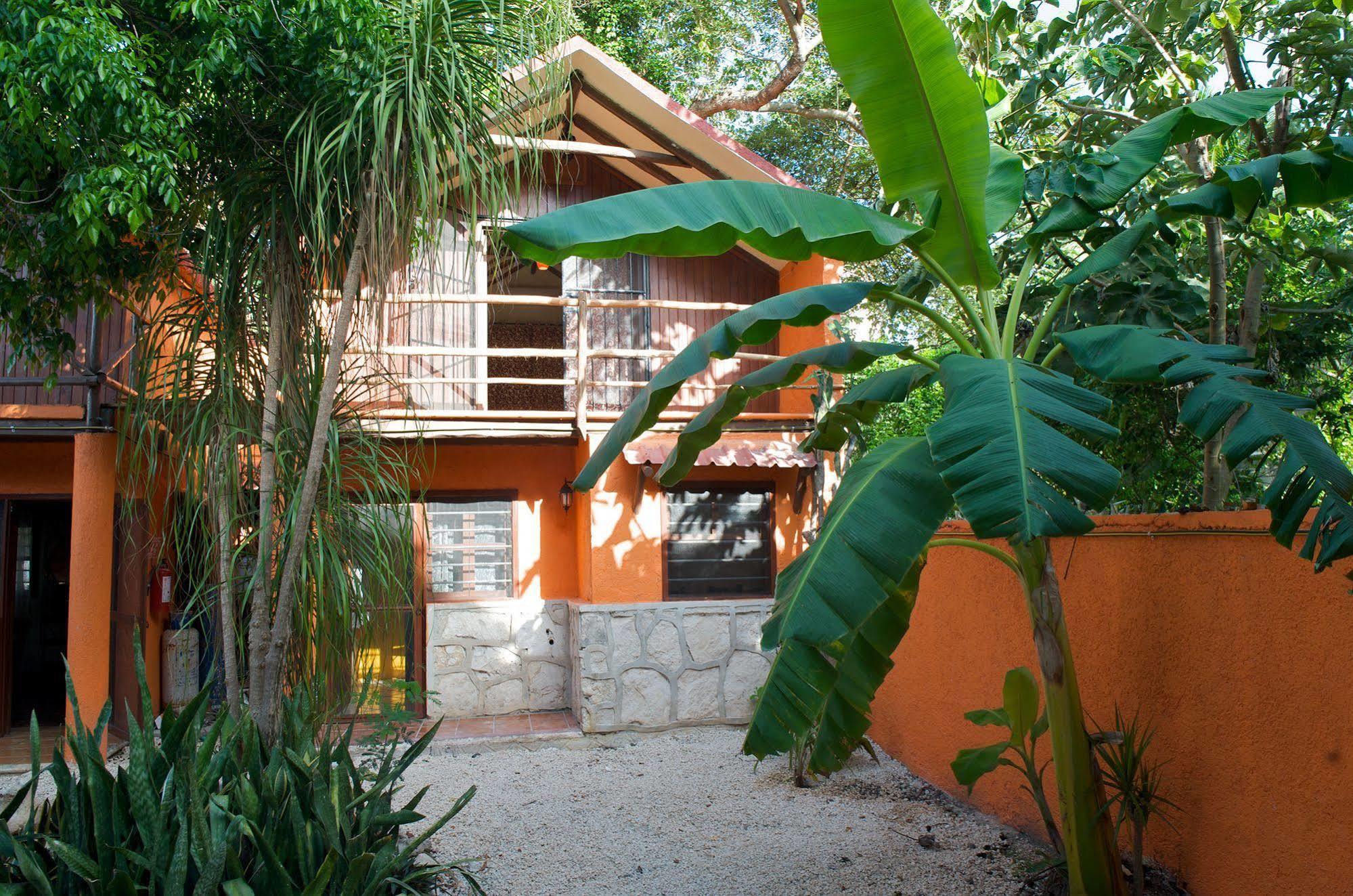 Casa Mango Bed & Breakfast Tulum Dış mekan fotoğraf